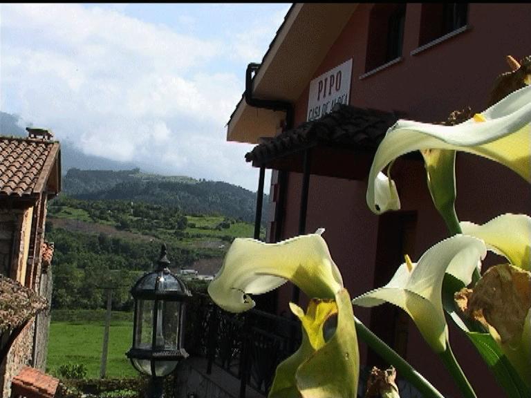 Casa Rural Casa Pipo Colunga Luaran gambar